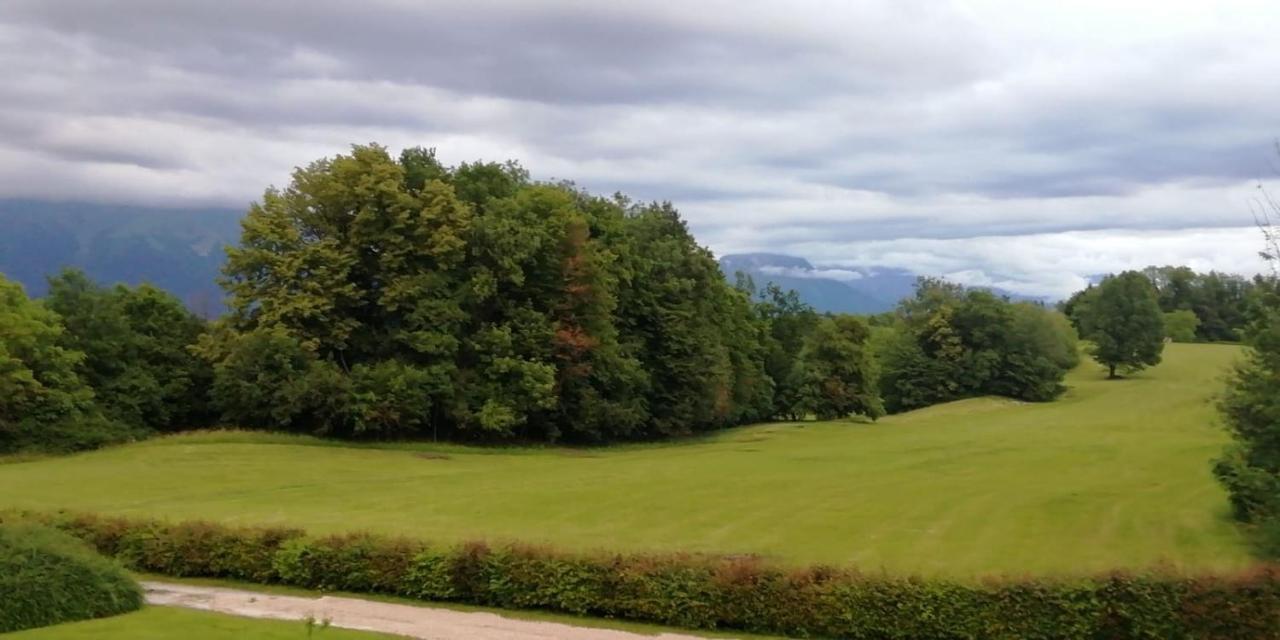 Fienile Chiaramada Apartment Belluno Bagian luar foto