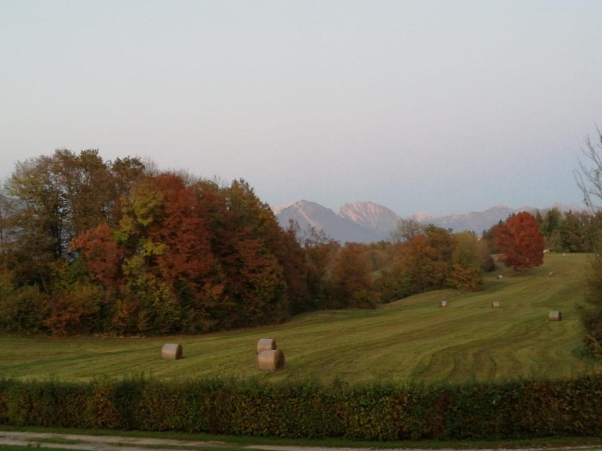 Fienile Chiaramada Apartment Belluno Bagian luar foto