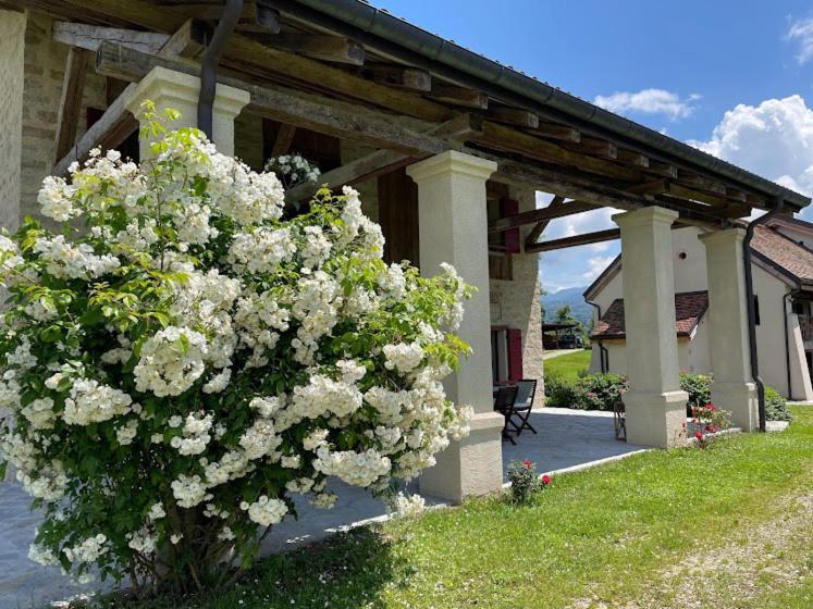 Fienile Chiaramada Apartment Belluno Bagian luar foto