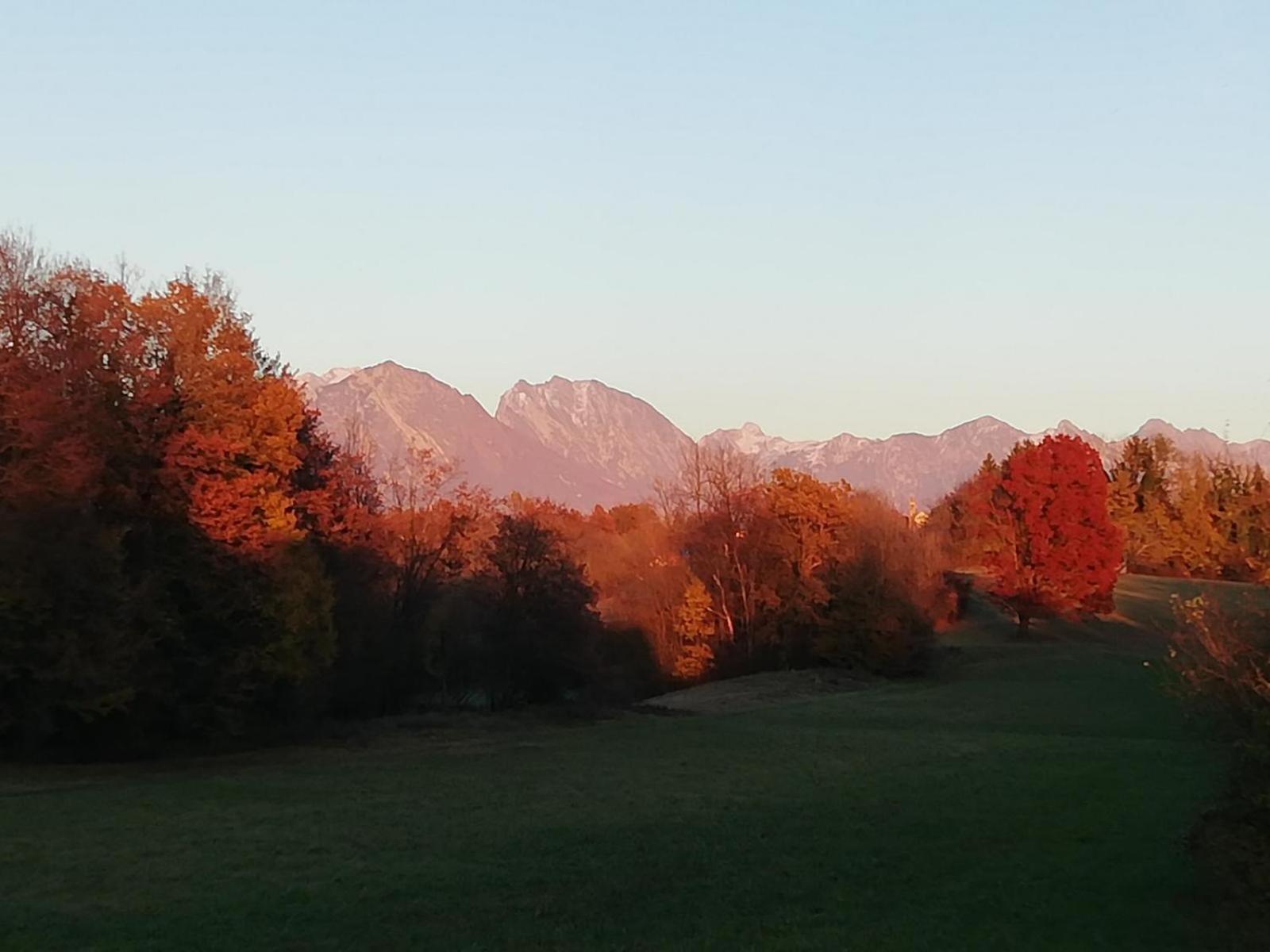Fienile Chiaramada Apartment Belluno Bagian luar foto